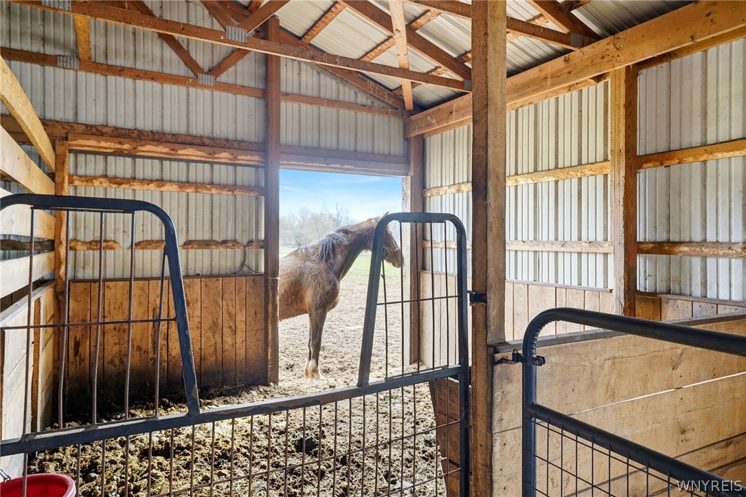 3129 Fruit Avenue Ridgeway, NY 14103 - Photo 37 of 50