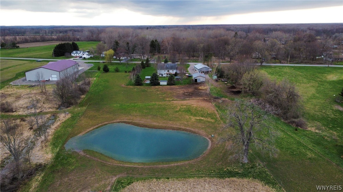 3129 Fruit Avenue Ridgeway, NY 14103 - Photo 45 of 50