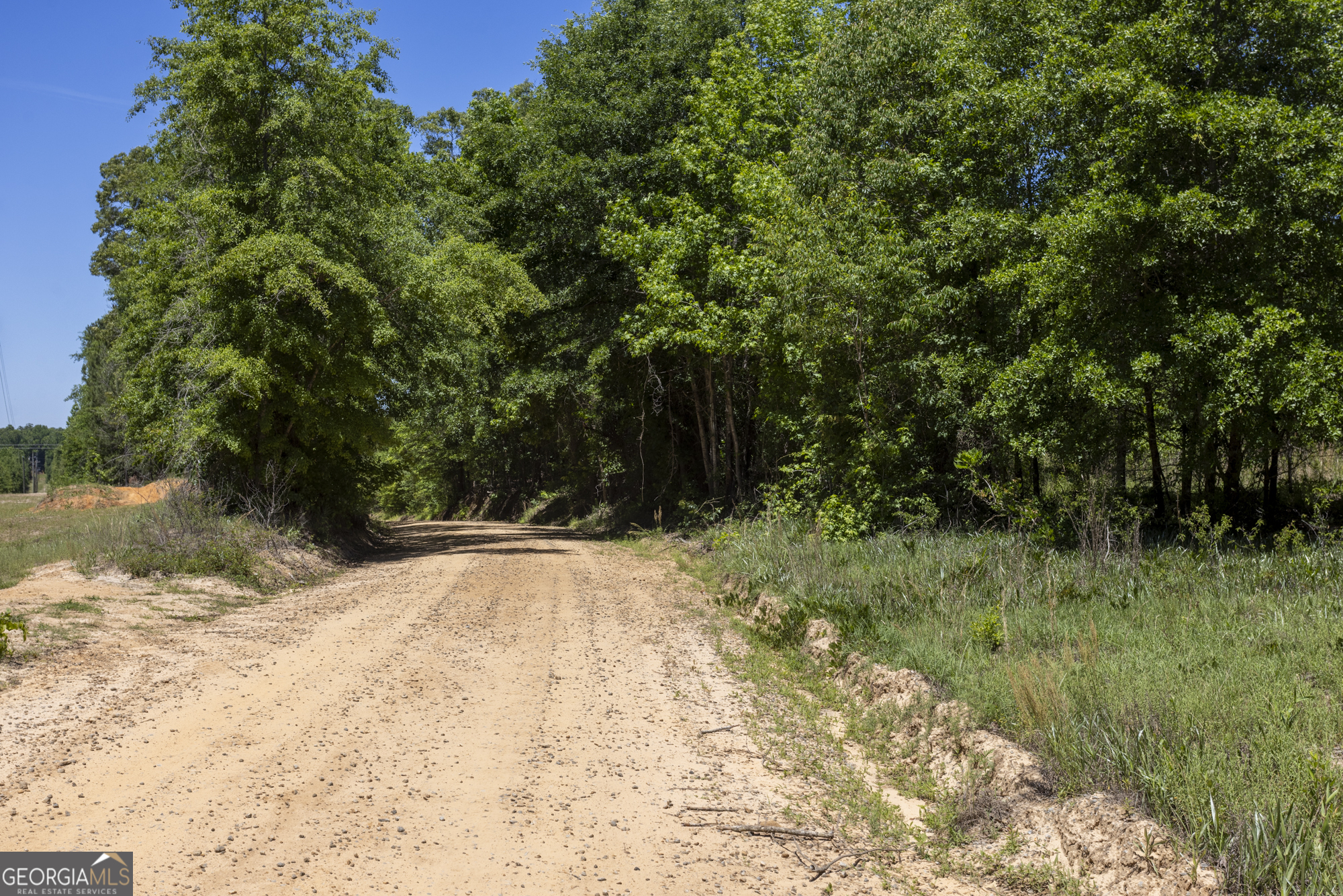 0 Old Griswoldville Road Macon, GA 31217 - Photo 5 of 62