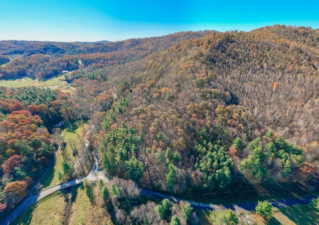 a view of a lake with a mountain in the background