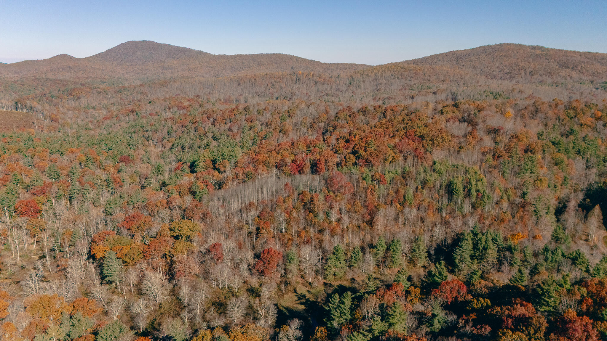 0 Shelor Road Southwest Meadows Of Dan, VA 24120 - Photo 10 of 23 Puin pic 13