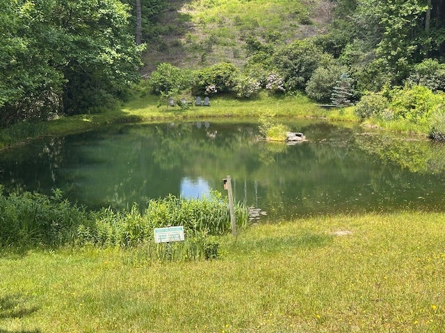 Tbd Dominion Road Cashiers, NC 28717 - Photo 3 of 7 Pond across the street.
