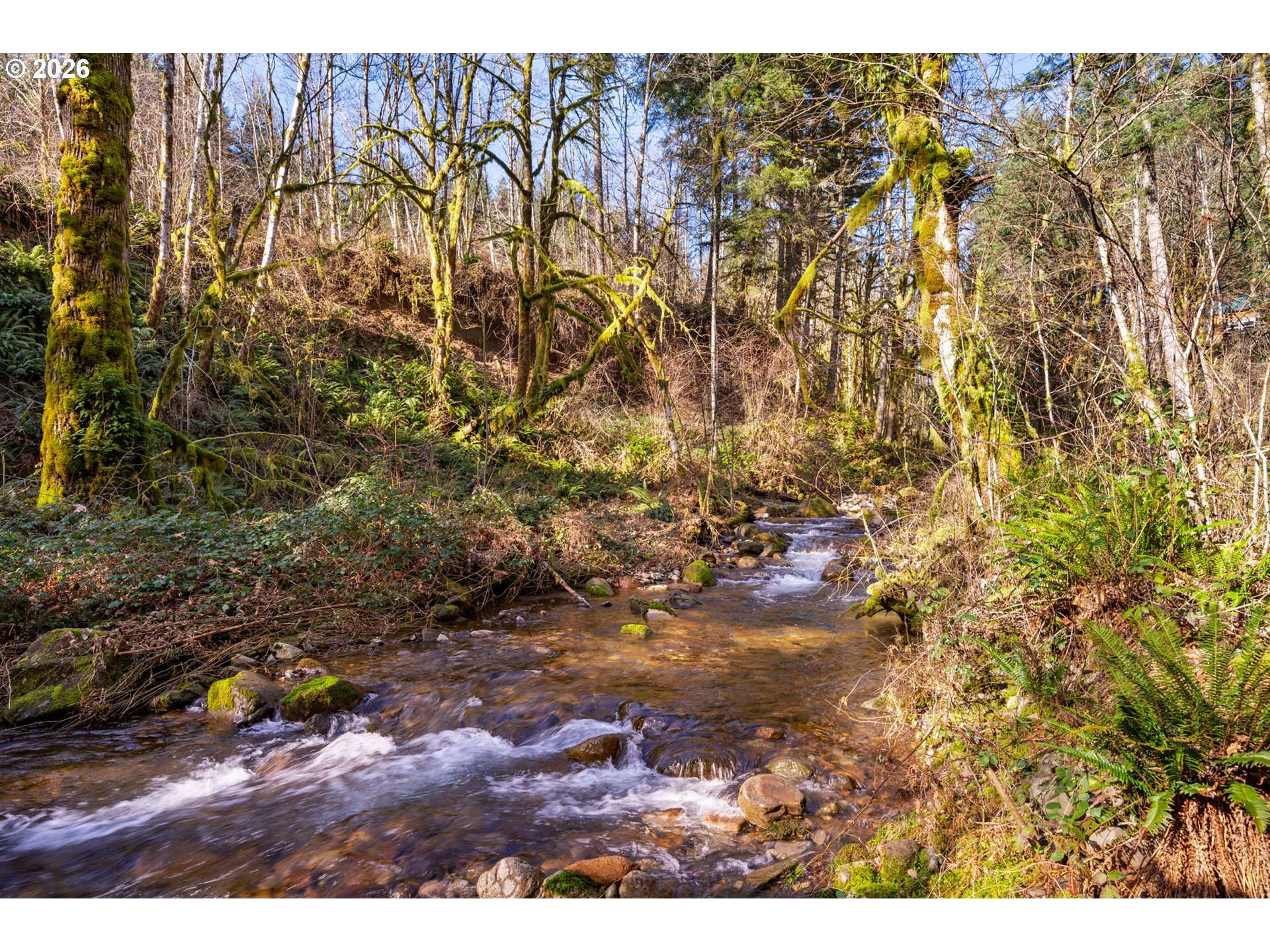 168 Yale-Landing Road Cougar, WA 98616 - Photo 47 of 48