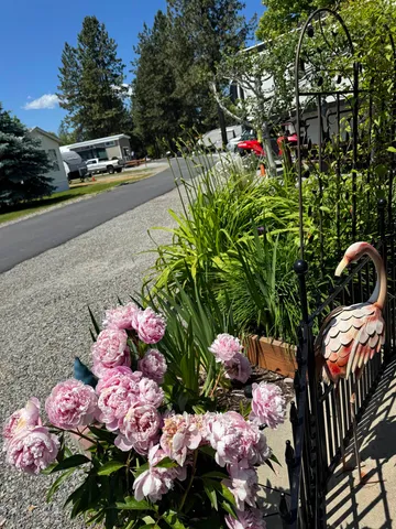 $210,000 | 69 Tall Pne Loop North, Unit 261 TALL PINE LP N, Usk, WA 99180