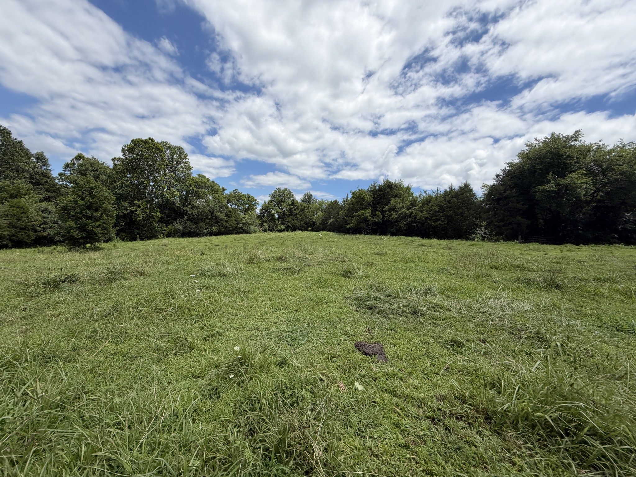 5141 Devers Road Southside, TN 37171 - Photo 17 of 33 Gallery Image 17