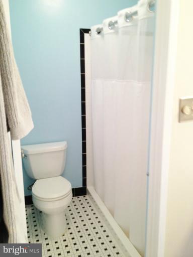 4507 Flintstone Road Alexandria, VA 22306 - Photo 27 of 30 Bath (Master)