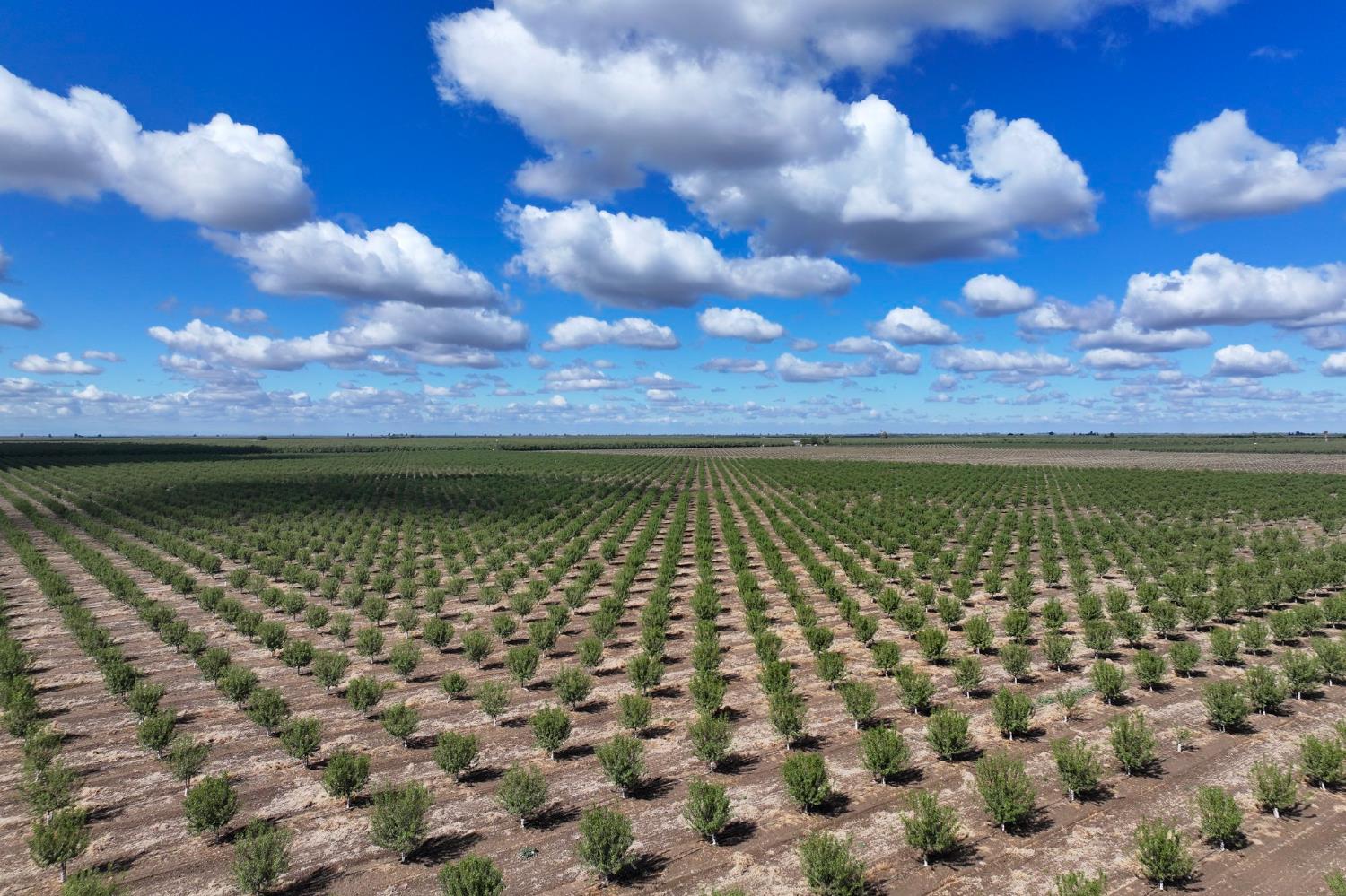 0 Road 168 Delano, CA 93215 - Photo 2 of 12 a view of a lake
