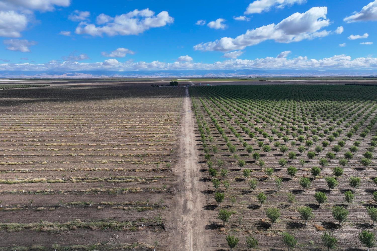 0 Road 168 Delano, CA 93215 - Photo 4 of 12 a view of swimming pool