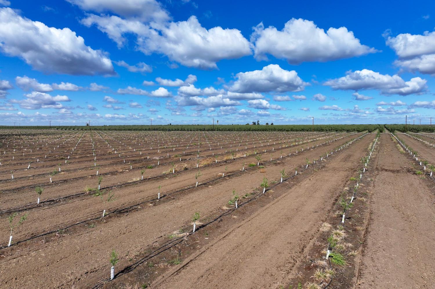 0 Road 168 Delano, CA 93215 - Photo 5 of 12 a view of a lake