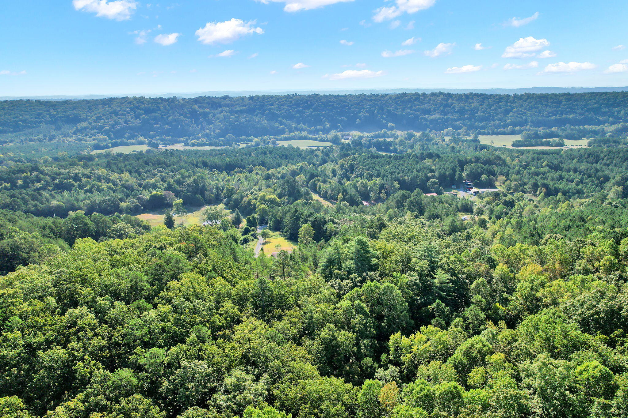 535 McDowell Lane Decatur, TN 37322 - Photo 42 of 43 13-web-or-mls-DJI_0708