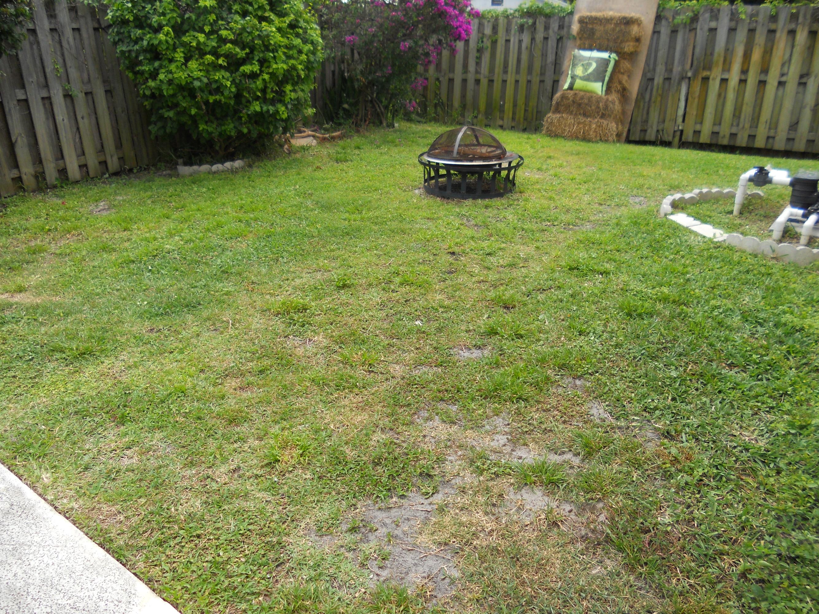 355 Northwest 35th Place Boca Raton, FL 33431 - Photo 4 of 22 Backyard