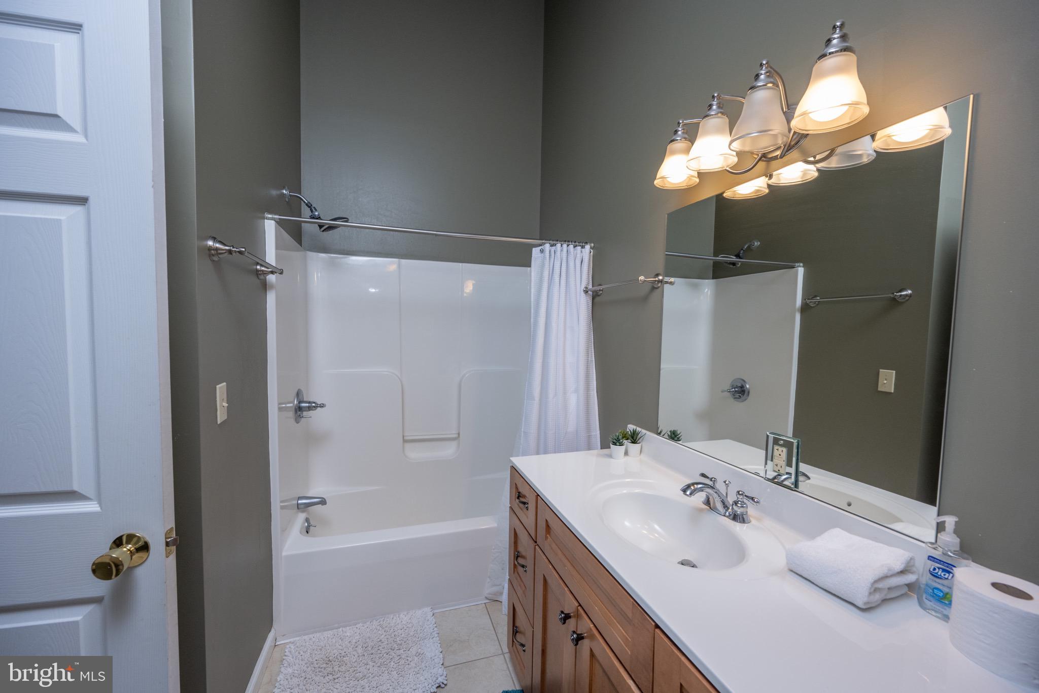 175 Roman Ridge Road, Unit 15 Oakland, MD 21550 - Photo 33 of 53 a bathroom with a sink a shower and a mirror