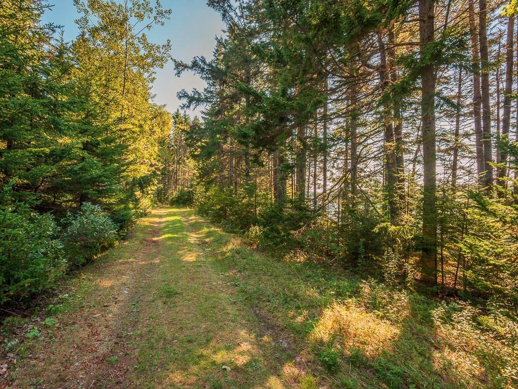 Lot 13 Scraggle Point Road Spruce Head, ME 04859 - Photo 14 of 16 Photo