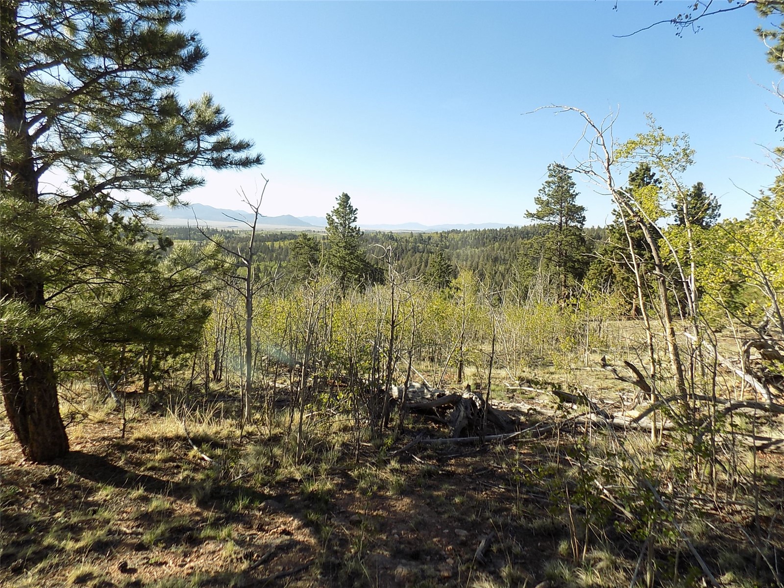 187 Osprey Road Como, CO 80432 - Photo 12 of 20 Gallery Image 12