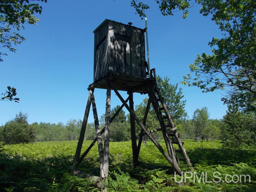 Tbd 155 Acres Off Reservoir Dam Road Seney, MI 49883 - Photo 10 of 23