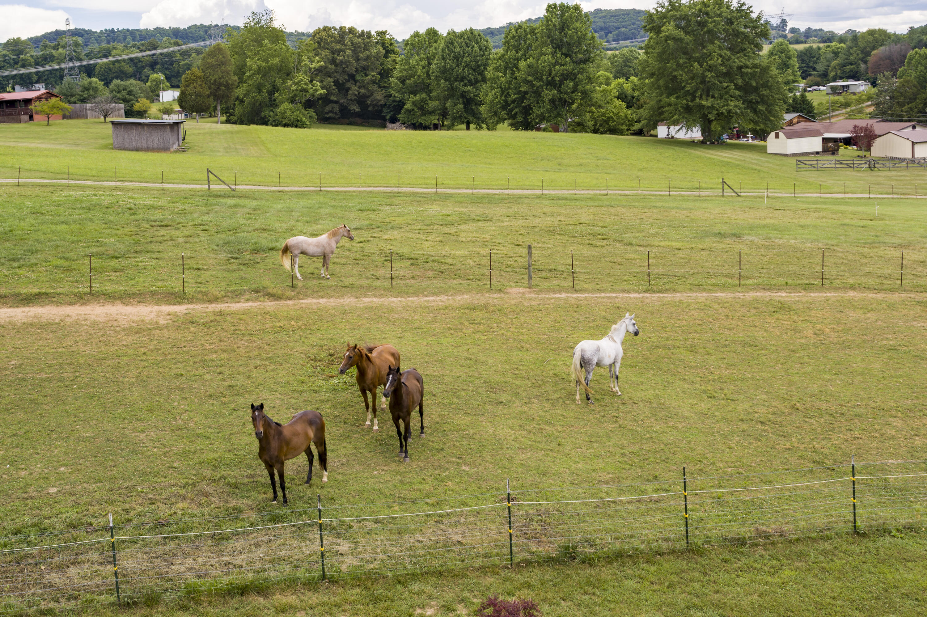 206 Payne Ridge Road Church Hill, TN 37642 - Photo 54 of 54 Payne-Aerials--14