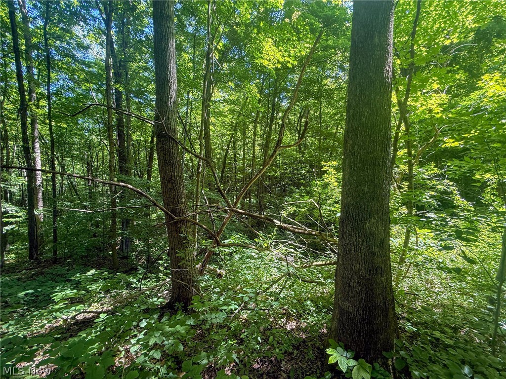 Keffer Road Stockport, OH 43787 - Photo 8 of 25