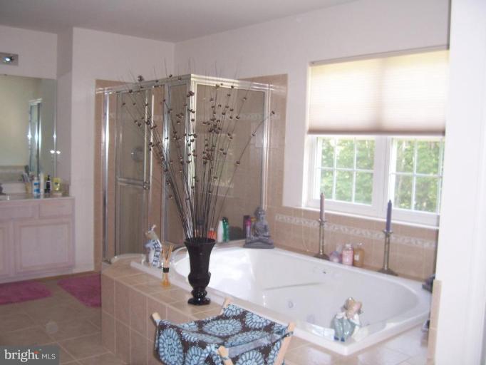 6905 Golden Raintree Court Clinton, MD 20735 - Photo 17 of 25 Master Bath View 2