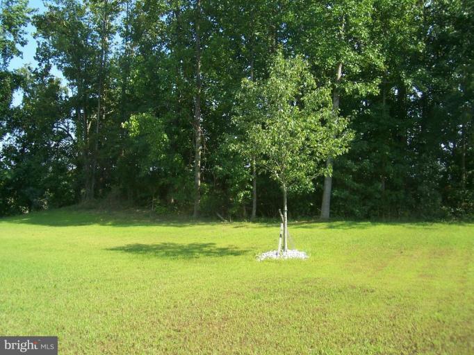 Level Lot