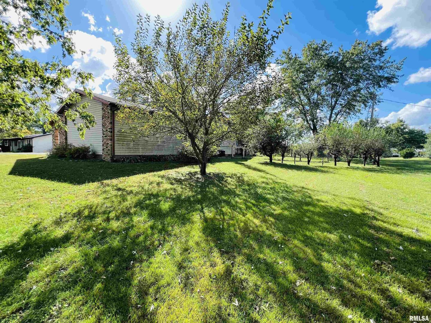 295 Country Acres Road Eldorado, IL 62930 - Photo 6 of 32