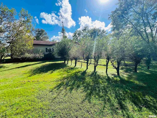 a view of a garden with a bench