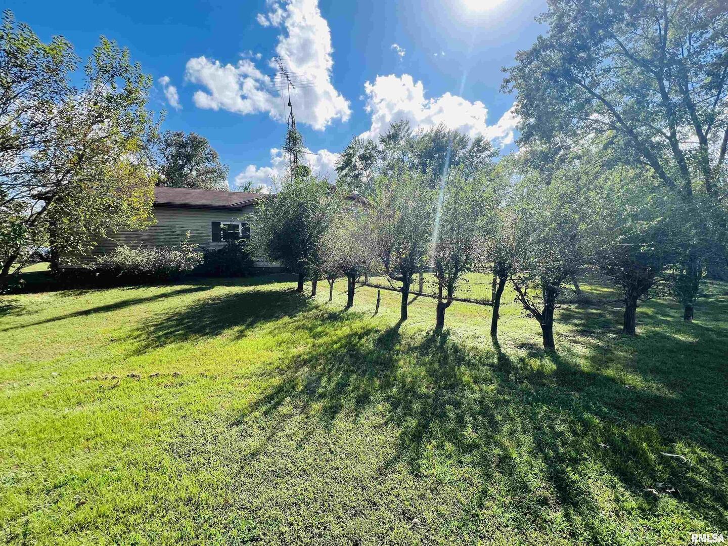 295 Country Acres Road Eldorado, IL 62930 - Photo 7 of 32