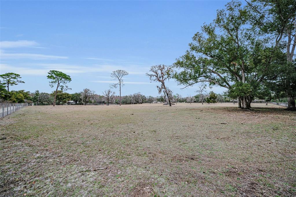 7230 Old Homestead Road New Port Richey, FL 34654 - Photo 96 of 99 Gallery Image 96