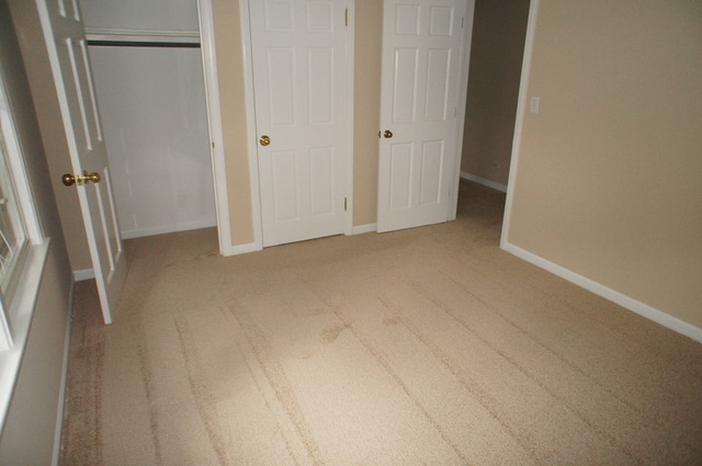 906 East North Path Wheaton, IL 60187 - Photo 11 of 25