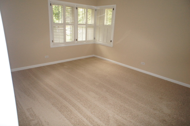 906 East North Path Wheaton, IL 60187 - Photo 13 of 25