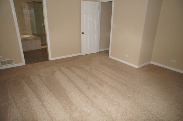 906 East North Path Wheaton, IL 60187 - Photo 14 of 25