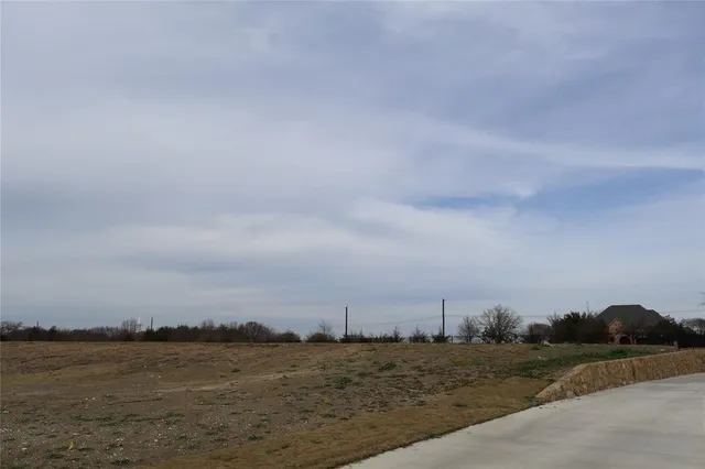 a view of a field with trees in background