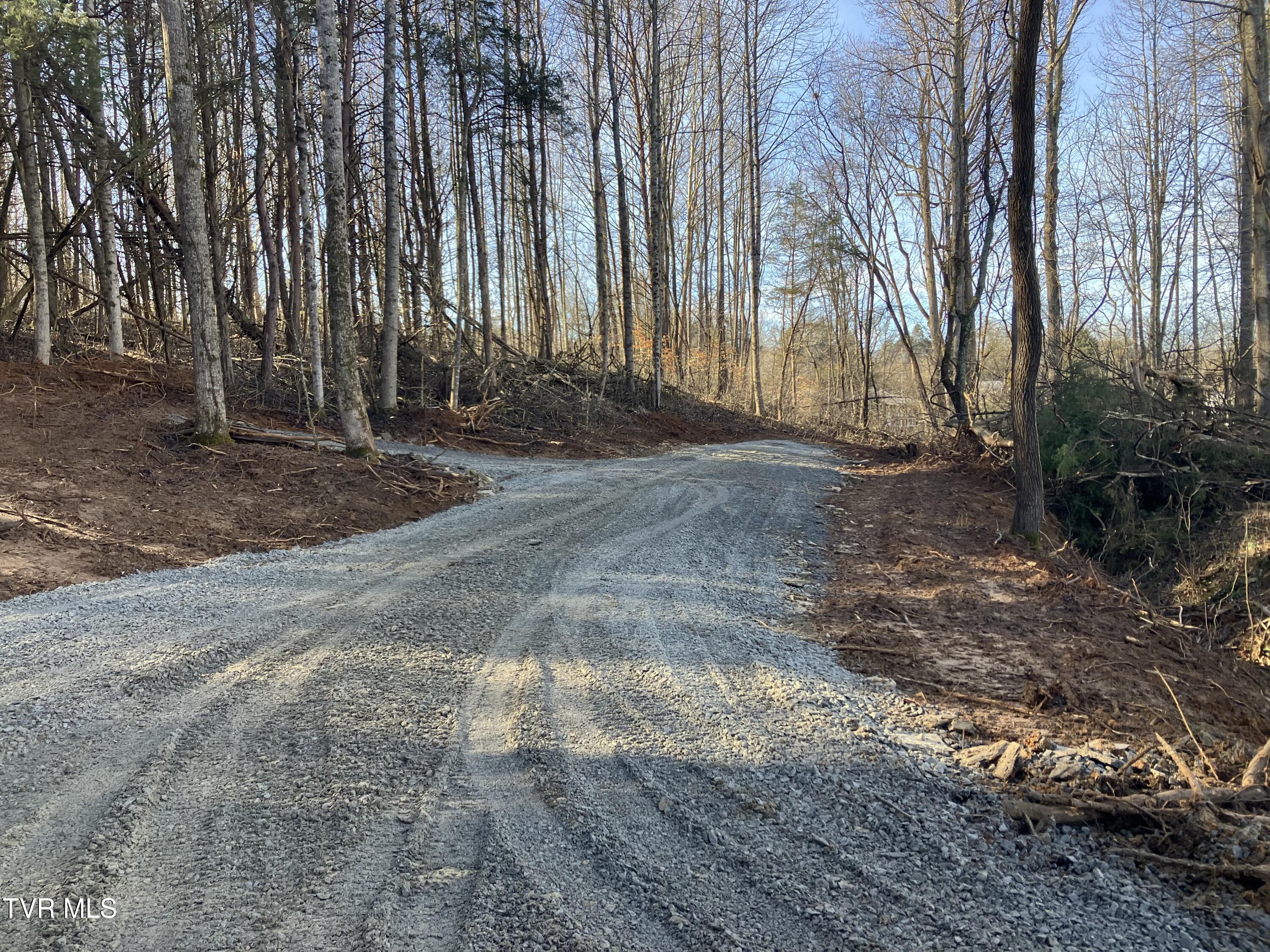 3927 Cherokee Road Jonesborough, TN 37659 - Photo 2 of 11 IMG_3352