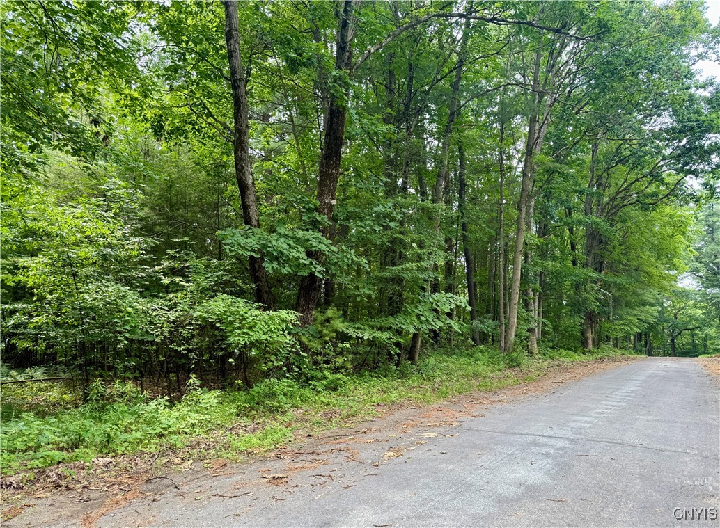 Beck Road Blossvale, NY 13308 - Photo 11 of 17 Gallery Image 11