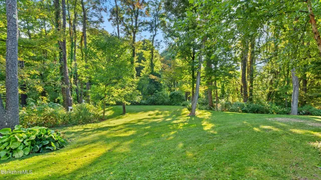 a view of a yard with a tree