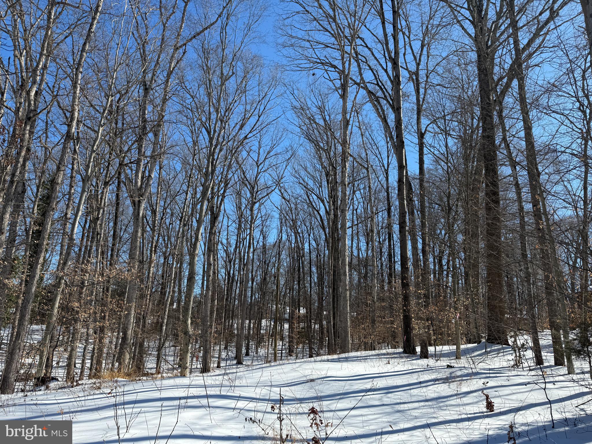 11713 Smithfield Road Manassas, VA 20112 - Photo 3 of 7