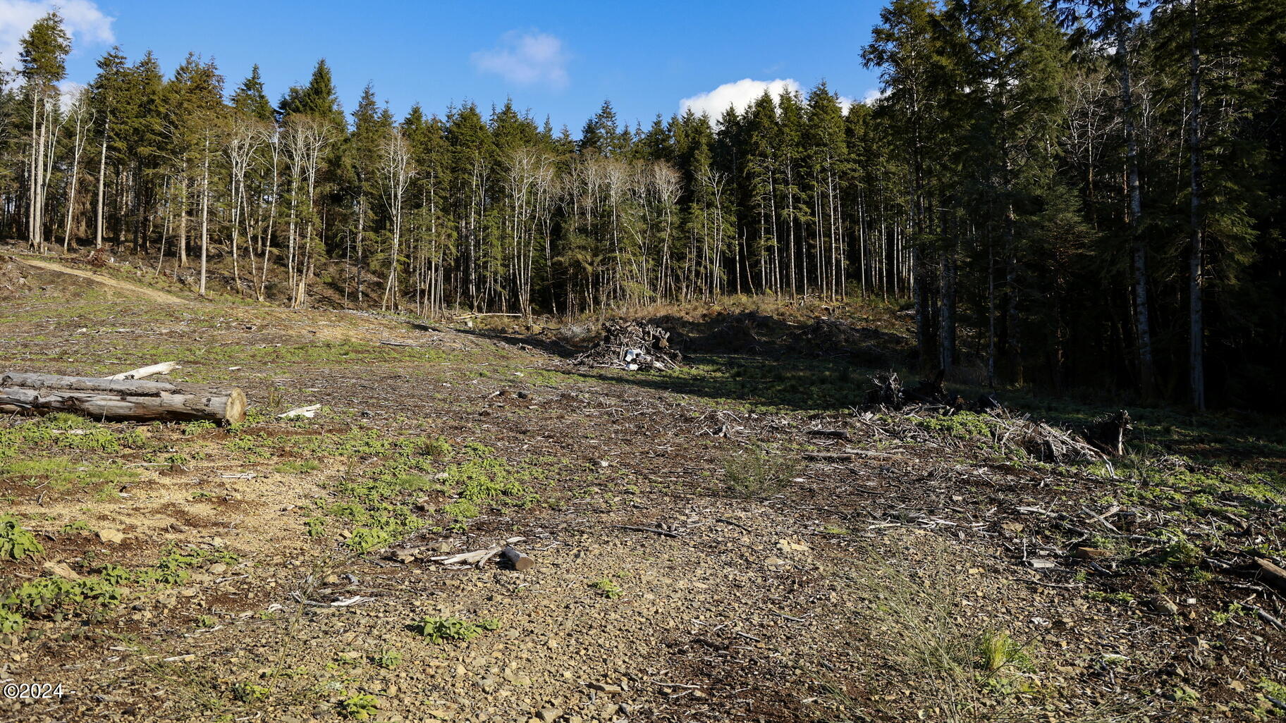 100 Sandlake Road Cloverdale, OR 97112 - Photo 10 of 10 IMG_8654x