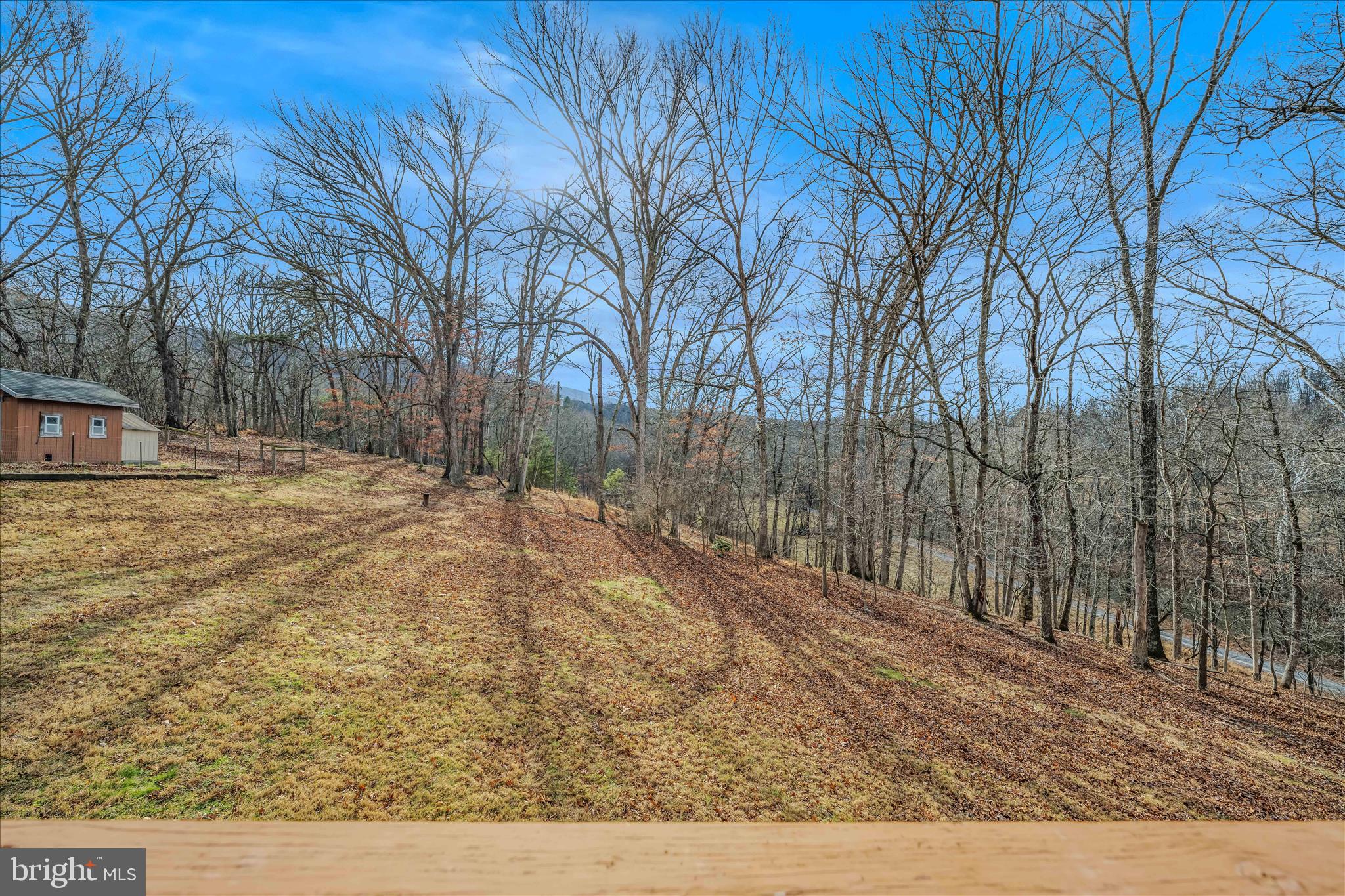 1636 Eckerd Lane Berkeley Springs, WV 25411 - Photo 30 of 85 a backyard of a house with lots of green space