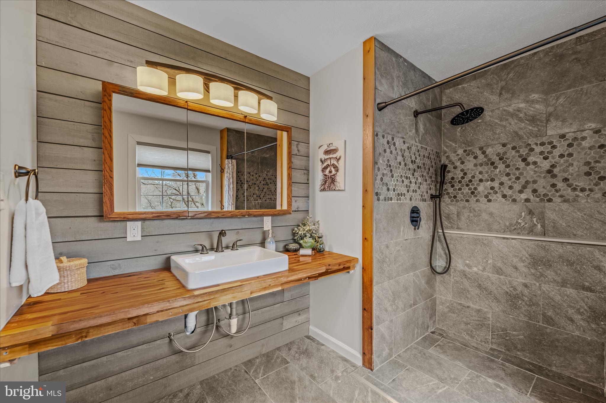 1636 Eckerd Lane Berkeley Springs, WV 25411 - Photo 38 of 85 a bathroom with a sink and a mirror