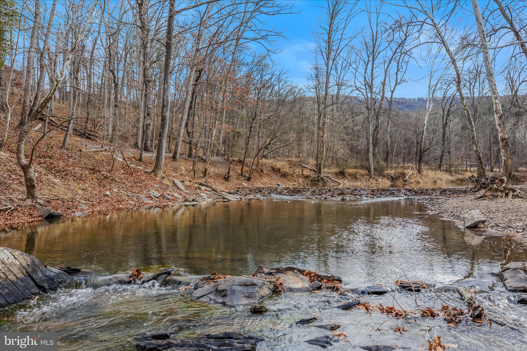 1636 Eckerd Lane Berkeley Springs, WV 25411 - Photo 6 of 85 a view of lake with green space