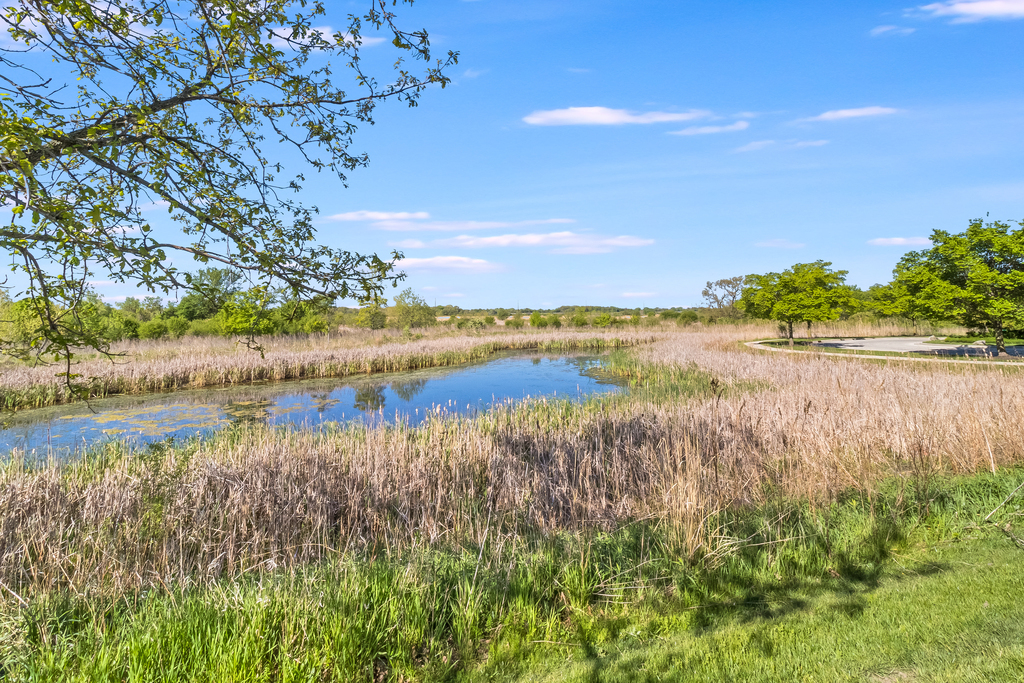 1085 Crane Elgin, IL 60124 - Photo 23 of 23