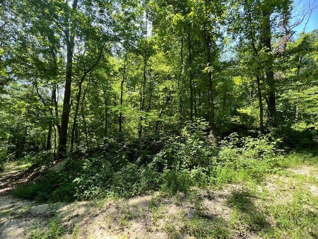 322 Baggett Road Ringgold, GA 30736 - Photo 12 of 18 IMG_1928