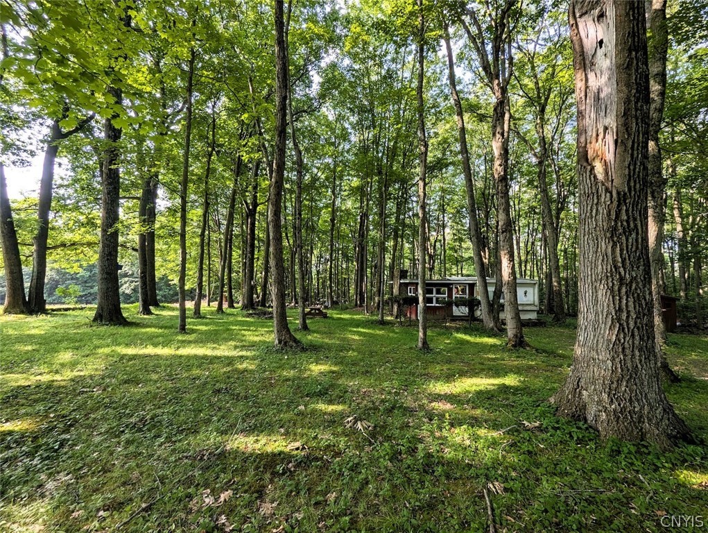 8880 Hemlock Road Wheeler, NY 14809 - Photo 2 of 50