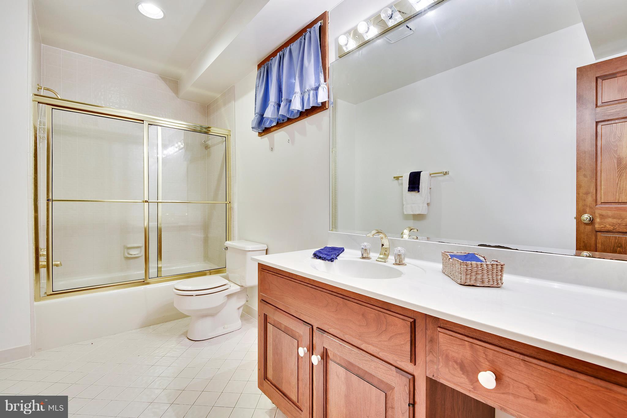 17 Bryants Nursery Road Silver Spring, MD 20905 - Photo 27 of 30 Full bath lower level