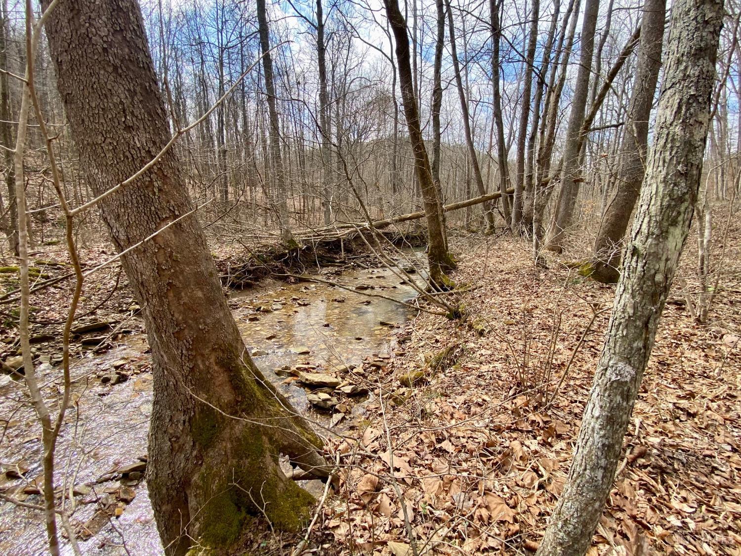 Ac Beech Fork Road Peebles, OH 45660 - Photo 5 of 49