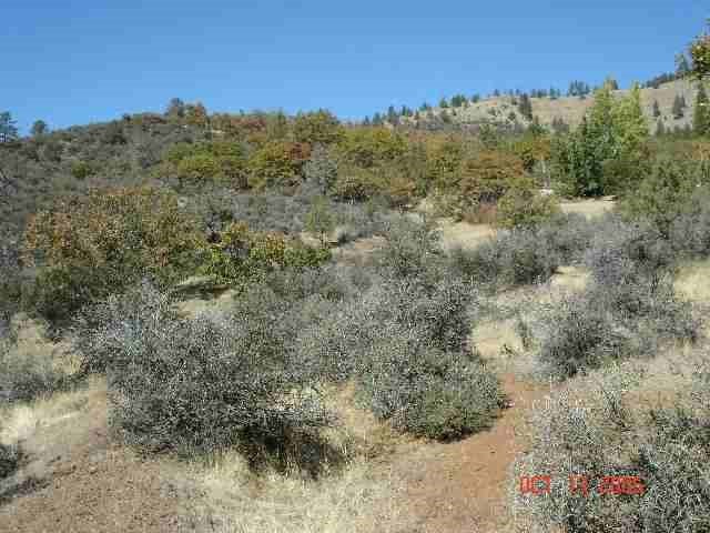 Off Greenhorn Road Yreka, CA 96097 - Photo 3 of 3 Gallery Image 3
