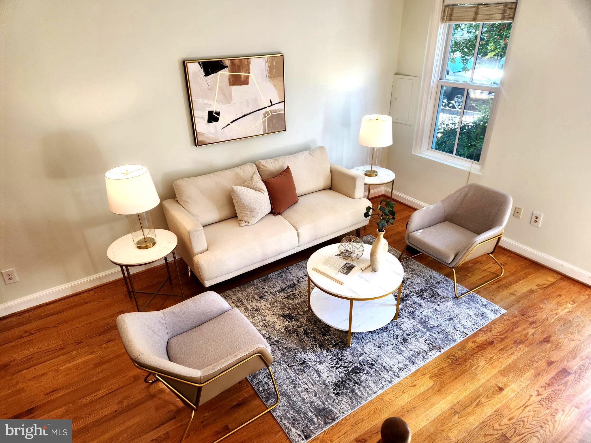 328 A Street Northeast Washington, DC 20002 - Photo 5 of 19 a living room with furniture and a rug