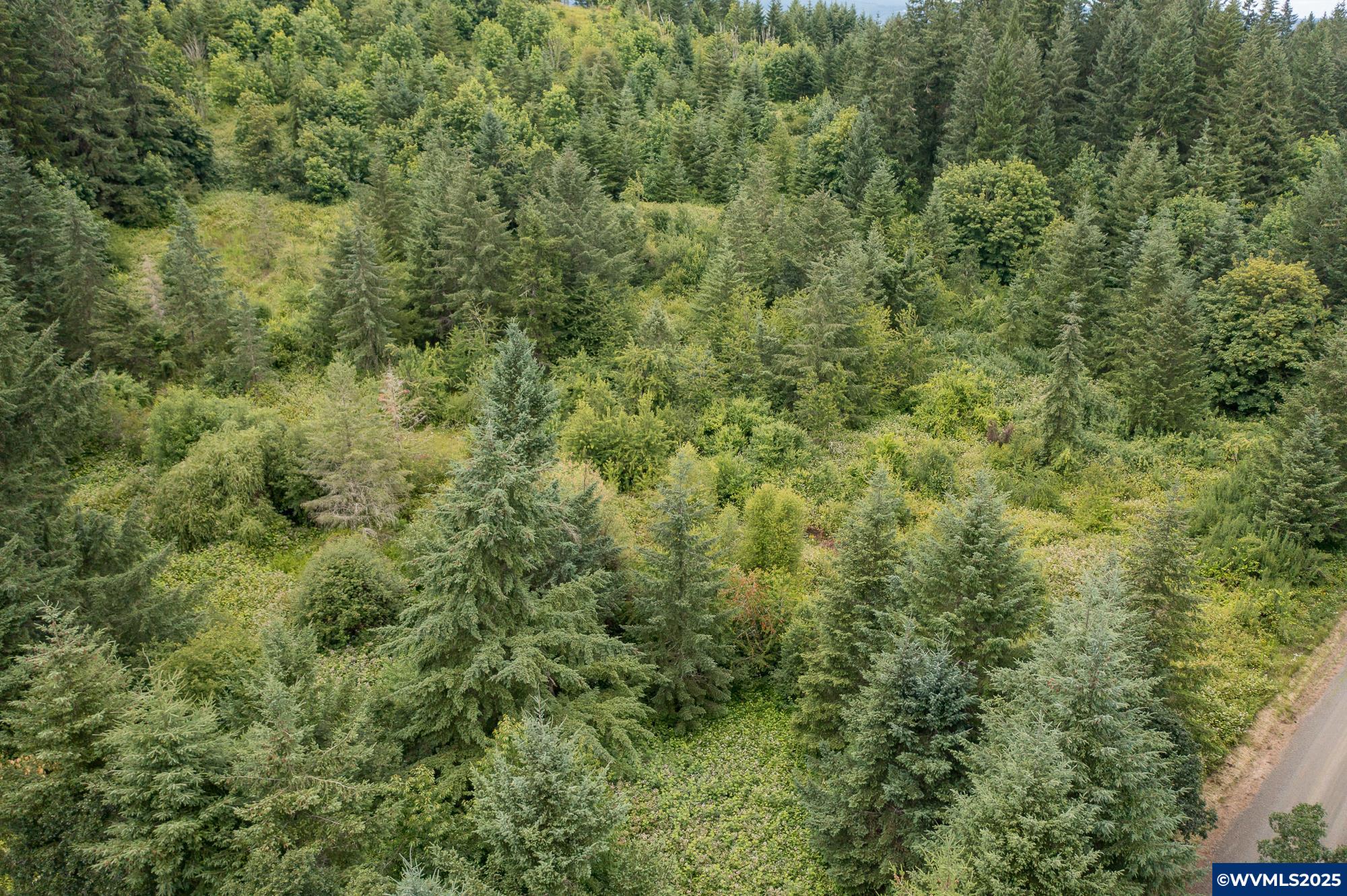 Mctimmonds Road Dallas, OR 97338 - Photo 12 of 20