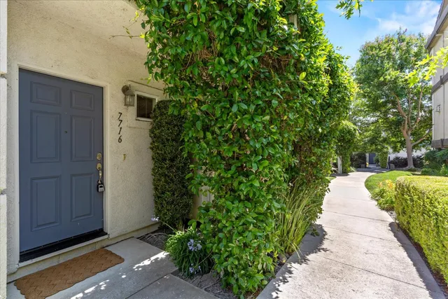 a view of a backyard with potted plants