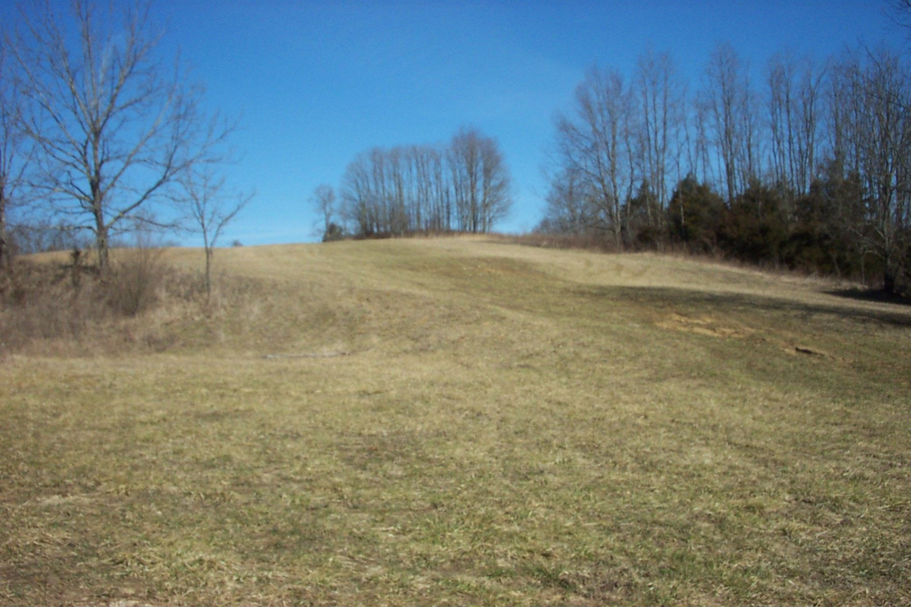 39-acres Leaning Oak Road Corinth, KY 41010 - Photo 5 of 7 Gallery Image 5
