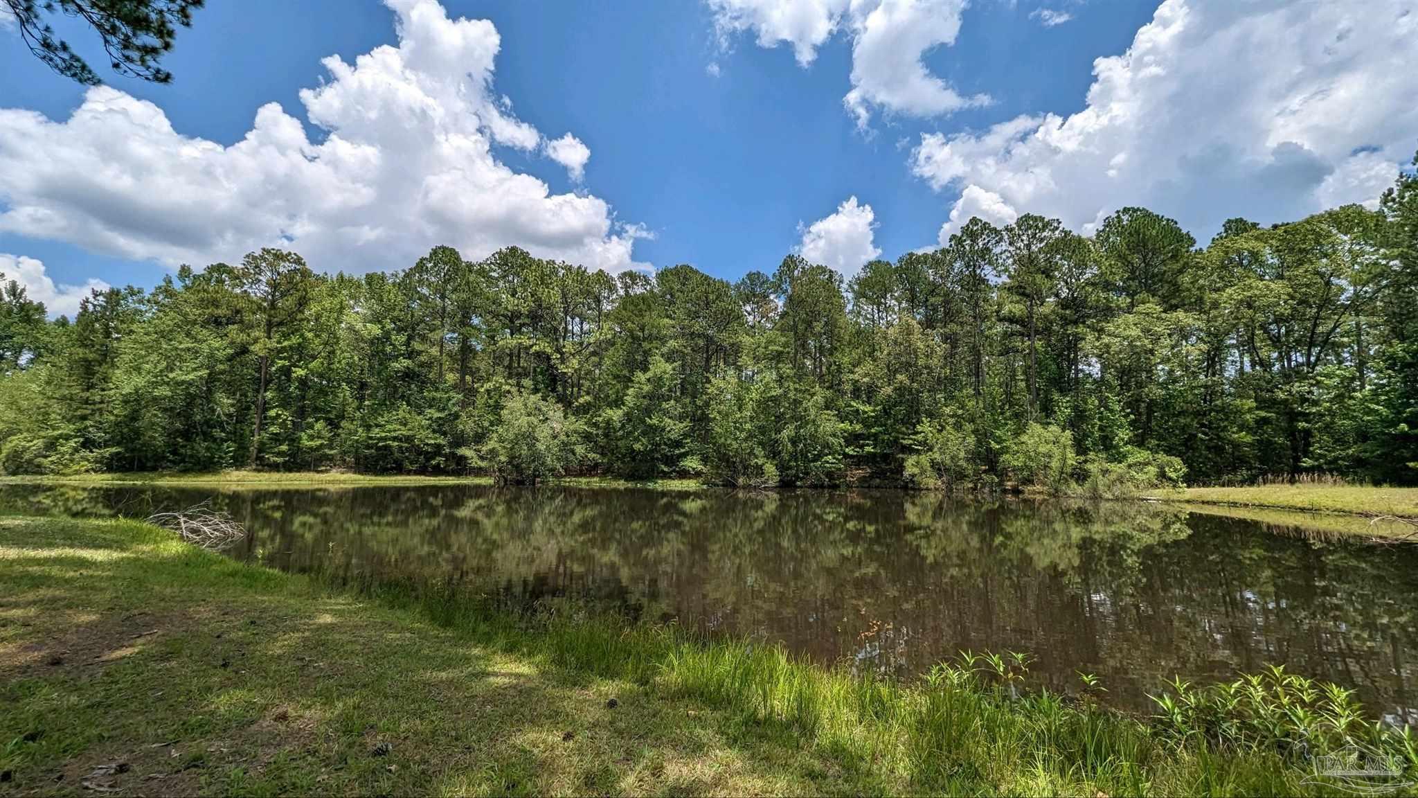 3277 Barlow Road Millry, AL 36558 - Photo 2 of 50
